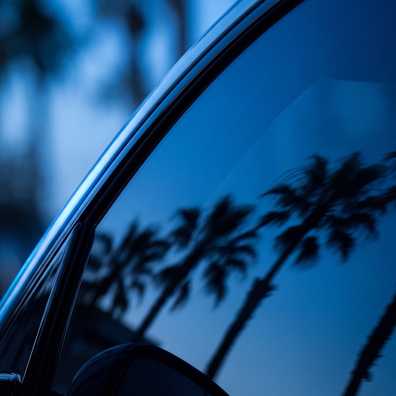 Macro of clean tinted side window with palm reflection