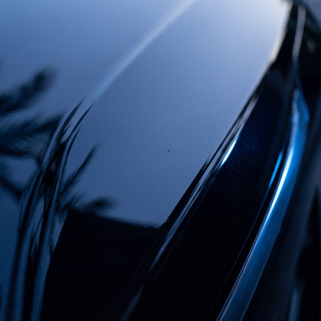 Macro of mirror-finish black paint with palm reflection