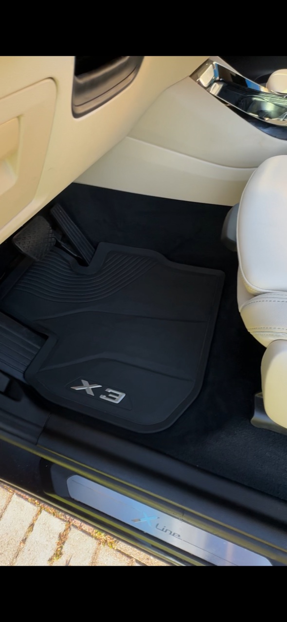 Clean floormat and seat trim interior